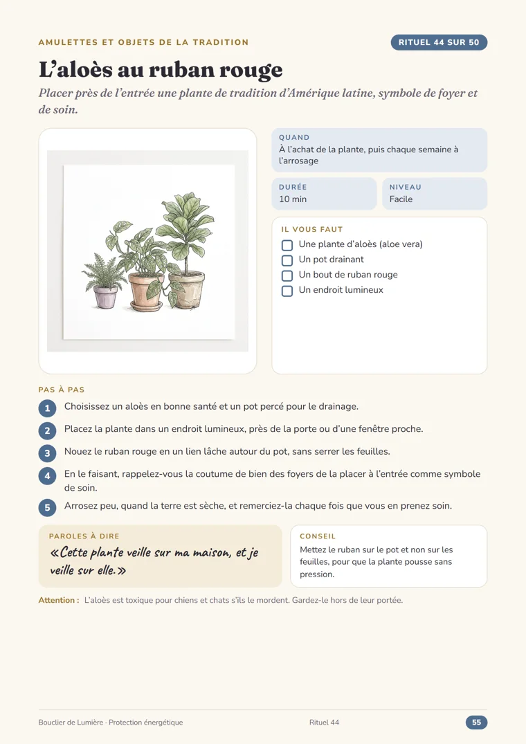 Page de rituel du guide